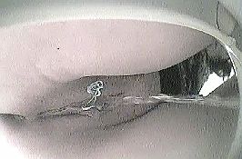 В унитаз женского туалета спрятали скрытую камеру